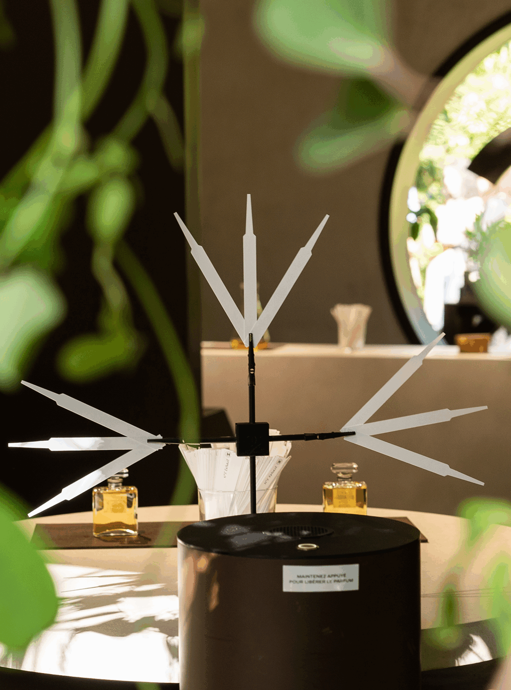Chanel-jardin-4