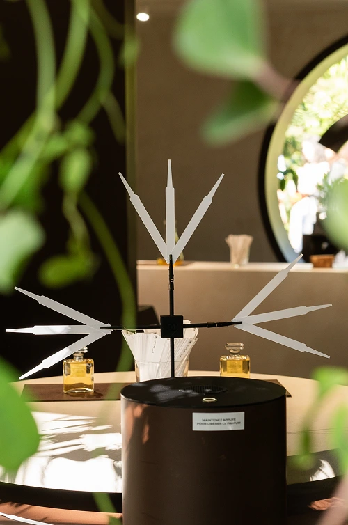 Chanel-jardin-4 Chanel-jardin-4